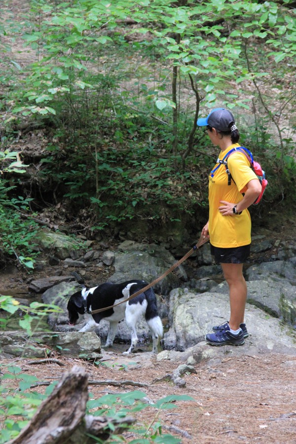 A peaceful trail through Oak Mountain